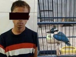 Ketagihan Miras, Dua Remaja di Surabaya Nekat Curi Burung Jalak