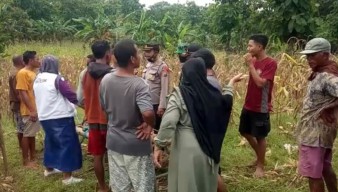 Petani di Bojonegoro Meninggal Dunia saat Panen Jagung