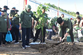 Khofifah dan Mas Ipin Hijaukan Lahan Bekas Tambang