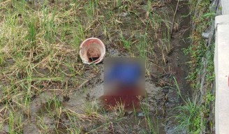 Penemuan Jasad Bayi Terbungkus Tas Biru di Sawah Gegerkan Warga Buduran