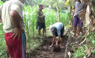 Situs Majapahit, Isu Penculikan Anak, Hukum Sebar Hoaks
