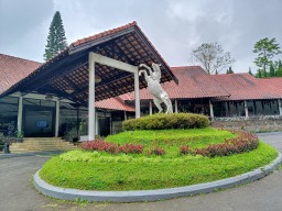 1001 Nuansa di Hotel Grand Whiz Bromo, Milenial Wajib Coba