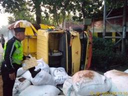 Sopir Tiba-tiba Hilang Kendali, Truk Muatan Serbuk Kayu Tabrak Pohon di Jombang