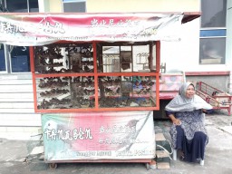 Berkah Imlek, Pedagang Burung Emprit Raup Cuan Rp2 Juta Per Hari