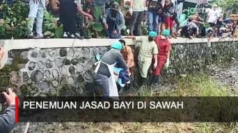 Video: Penemuan Jasad Bayi Terbungkus Tas Biru di Sawah