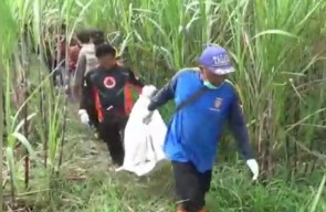 Kerangka Manusia Ditemukan dalam Lahan Tebu di Malang