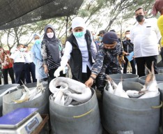 Produksi Ikan Tangkap dan Ekspor Jatim Tertinggi Nasional