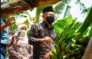 Wapres RI Angkat Bicara soal Usulan Kenaikan Biaya Haji 2023