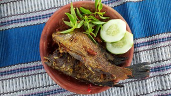 Sensasi Segar dan Pedas Nila Sambal Orek di Lamongan, Dijamin Maknyus