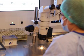 Morula IVF Indonesia Hadirkan Anak Sehat Melalui Teknologi Reproduksi Berbantu