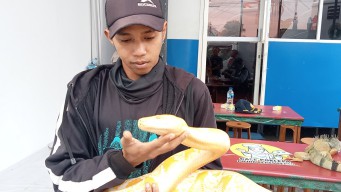 Tips Merawat Ular Piton dan Cara Menangani Penyakitnya