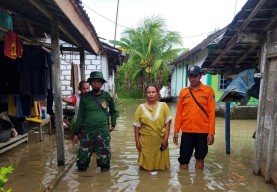 Cuma Sepekan! Banjir Lamongan Meluas hingga 35 Desa di 5 Kecamatan