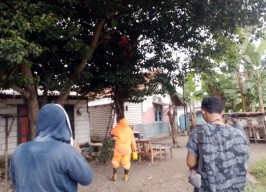 3 Petugas Damkar Bangkalan Dilarikan ke RS Usai Disengat Tawon yang Dievakuasi