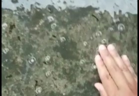 Beredar Video Hujan Es, Disebut di Trawas Mojokerto