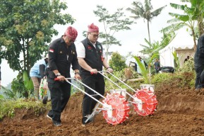 Momen Mas Dhito Tanam Kelapa Genjah di Kediri Bareng Mentan