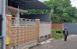 Puluhan Monyet Taman Mendit Datangi Permukiman, Pertanda Apa?
