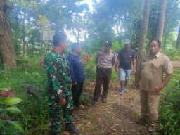 Pencurian Arca Siwa Mahadewa di Candi Ganter, Pelaku Diduga 4 Orang