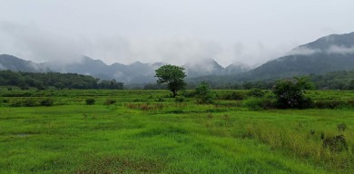 Miliki Warisan Geologi, Pulau Bawean Digagas Jadi Geopark