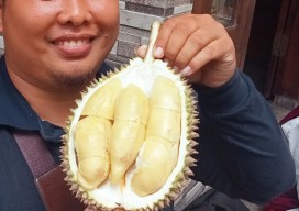 Berburu Durian Lokal di Pedalaman Desa Pasrepan Pasuruan, Ssstt...ada Polisi!