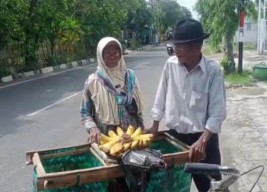 Romantisme Pasutri Lansia Lamongan Ngontel 15 Km Jual Pisang sejak 1975