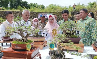 Semarak Pesta Bonsai Gresik 2023, Ini Harapan Wabup