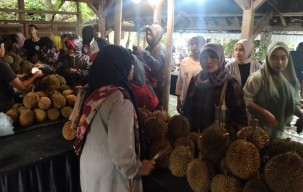 Gebyar Omah Durian di Kota Batu Diperpanjang