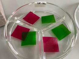 Peneliti Unair Kembangkan Oral Thin Film dari Serabut Kelapa untuk Sariawan
