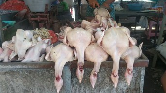 Jelang Ramadan, Harga Daging Ayam di Jombang Merangkak Naik