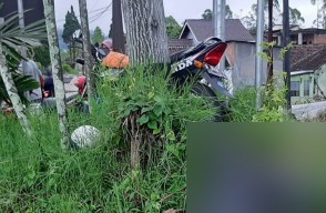 Brak! Motor Tabrak Pohon di Malang, Pengendara Tewas