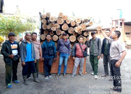Puluhan Kayu Jati Ilegal di Banyuwangi Disita, 4 Orang Jadi Tersangka