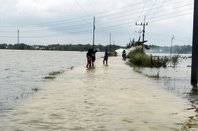 Ratusan Hektar Sawah di Bojonegoro Terendam Banjir, Petani Terancam Gagal Panen
