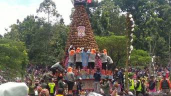 Kosmetik Hilang, Dampak Banjir dan Kenduri Durian di Jombang