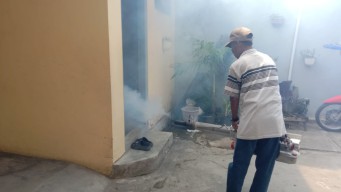 Bangkalan Mulai Antisipasi Demam Berdarah, Ini Langkah Terkini