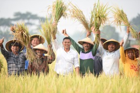 Kota Kediri Panen Raya Hasilkan Padi 8 Ton Per Hektare, Lampaui Nasional