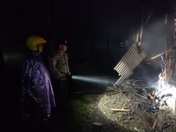 Blarrr! Kandang di Kediri Terbakar, Belasan Ribu Ayam Terpanggang