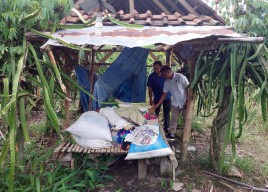 3 Manula Banyuwangi Perkosa Siswi SMP: Dilakukan 10 Kali, Salah Satunya di Gubuk