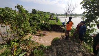 3 Tanggul Sungai Jebol Imbas Hujan Lebat Lamongan, Air Banjiri Rumah Warga