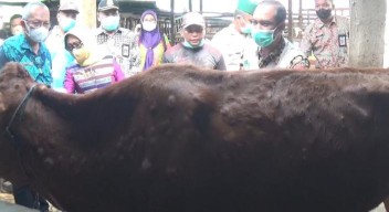 Sempat Menyebar di 14 Kecamatan, Kasus LSD di Jombang Diklaim Turun 50 Persen