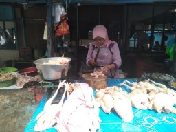 Harga Daging Ayam dan Ikan di Pasar Tradisional Kota Bojonegoro Naik Jelang Ramadan