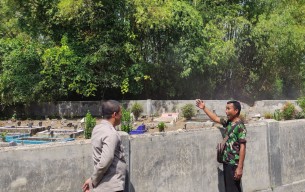 Cerita di Balik Penemuan Bayi dalam Kardus yang Gegerkan Warga Genteng