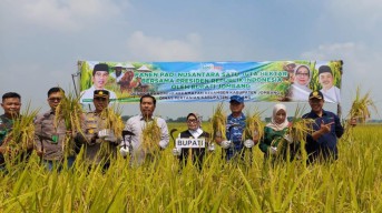 Alhamdulillah! Petani Jombang Panen Raya Usai Menanti Dua Tahun