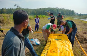 Pria di Tuban Bunuh Tetangga Gegara Dendam Asmara