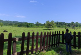 Alas Purwo Jadi Tempat Favorit Ngabuburit di Banyuwangi