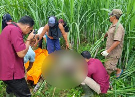 Wanita dan Bayi Ditemukan Tewas dalam Kebun Tebu di Kediri