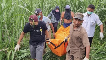 Penyebab Tewasnya Wanita dalam Kebun Tebu di Kediri Terkuak, Suami Ditetapkan Tersangka