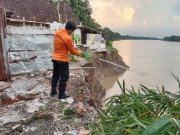 Tebing di Sungai Bengawan Solo Bojonegoro Longsor, Rumah Warga Terancam Amblas