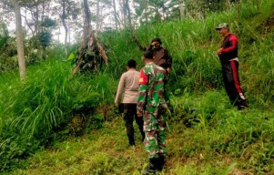 Nenek Pencari Rumput Hilang Misterius di Gunung Gendis Pasuruan