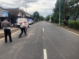 Mobil Strada Hantam Motor di Banyuwangi, Pengendara Tewas