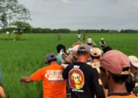 Petani Bojonegoro Ditemukan Tewas di Pematang Sawah, Polisi Ungkap Penyebabnya