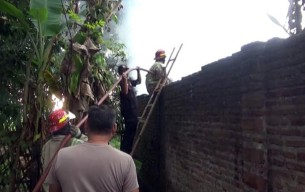Rumah di Jombang Terbakar saat Penghuni Jemput Cucu Mengaji